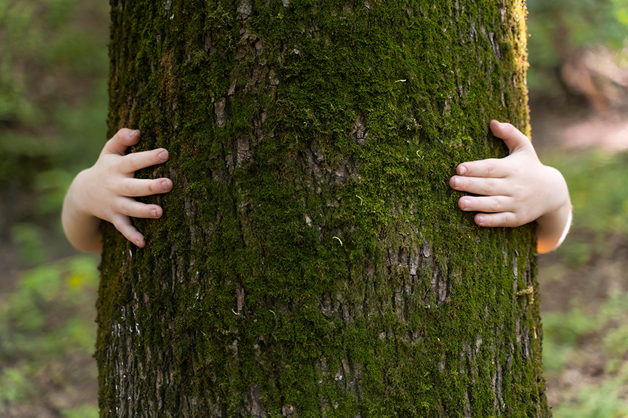 Smart Screening Technologies Drive Sustainability