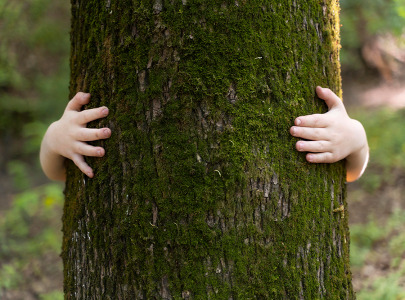 Smart Screening Technologies Drive Sustainability