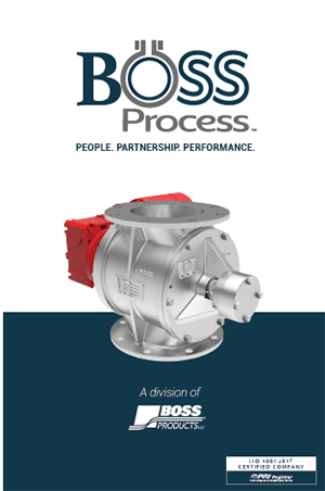 Boss Process Brochure